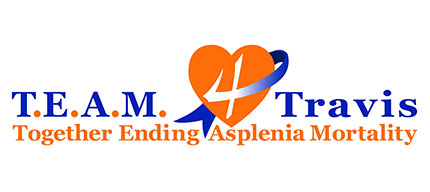 Logo of TEAM TRAVIS.